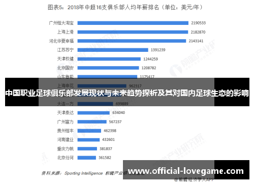 中国职业足球俱乐部发展现状与未来趋势探析及其对国内足球生态的影响