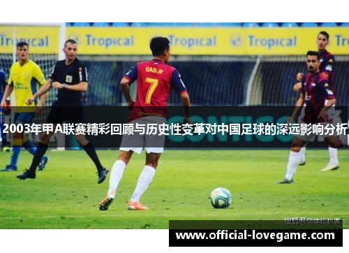 2003年甲A联赛精彩回顾与历史性变革对中国足球的深远影响分析
